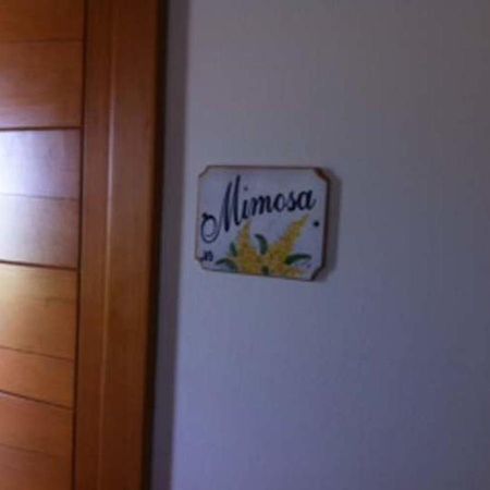Agriturismo Accipicchia Ancona Kamer foto